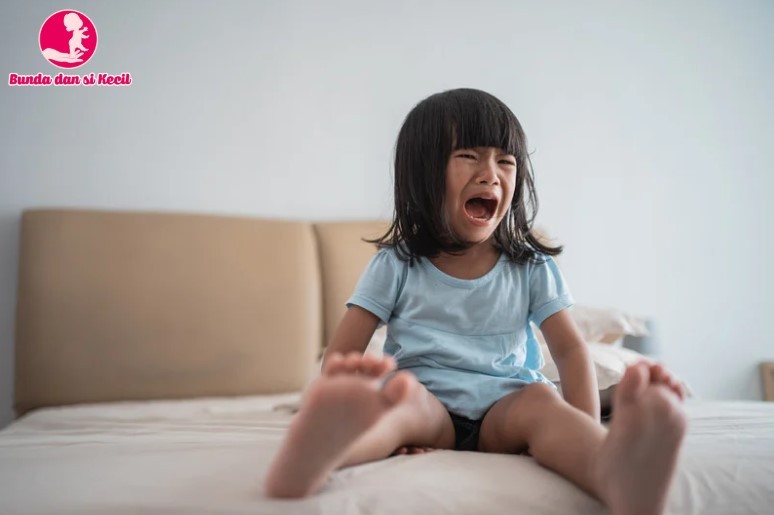 Anak Tantrum Bukan Manipulatif, Ini Cara Bijak Hadapi Ledakan Emosinya